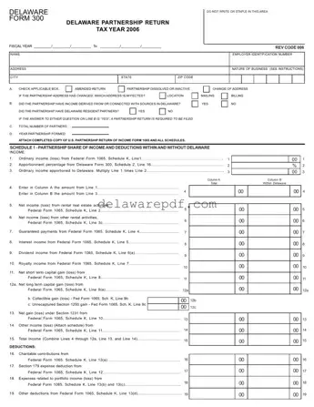Fill Your Delaware 300 Template