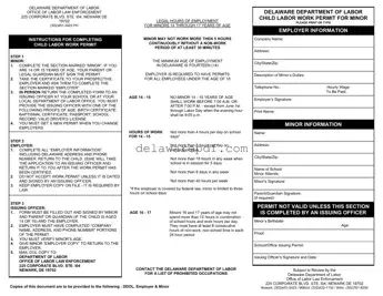 Fill Your Delaware Work Permit Template